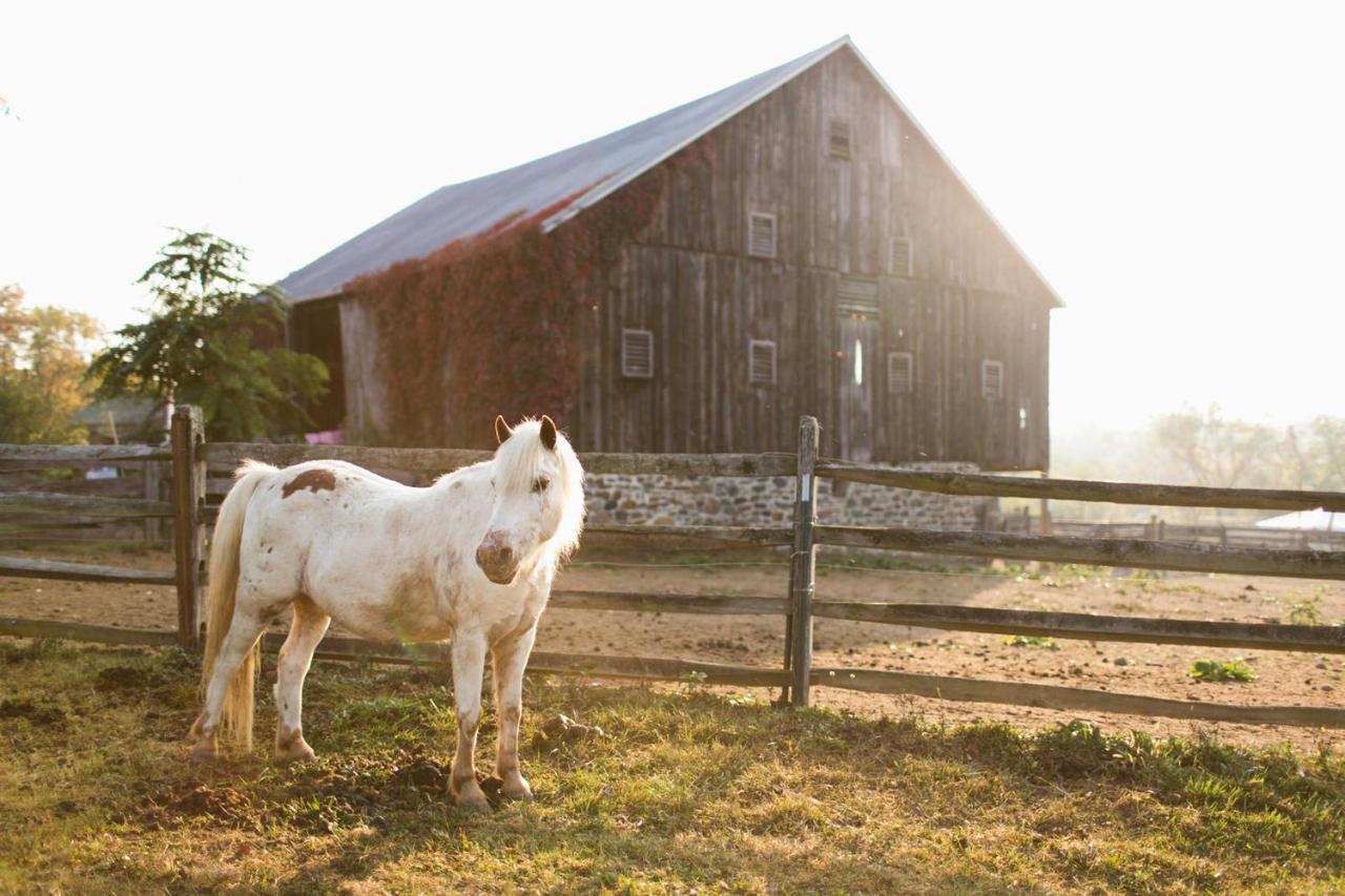 Gettysburg Battlefield Bed & Breakfast Inn Eksteriør bilde